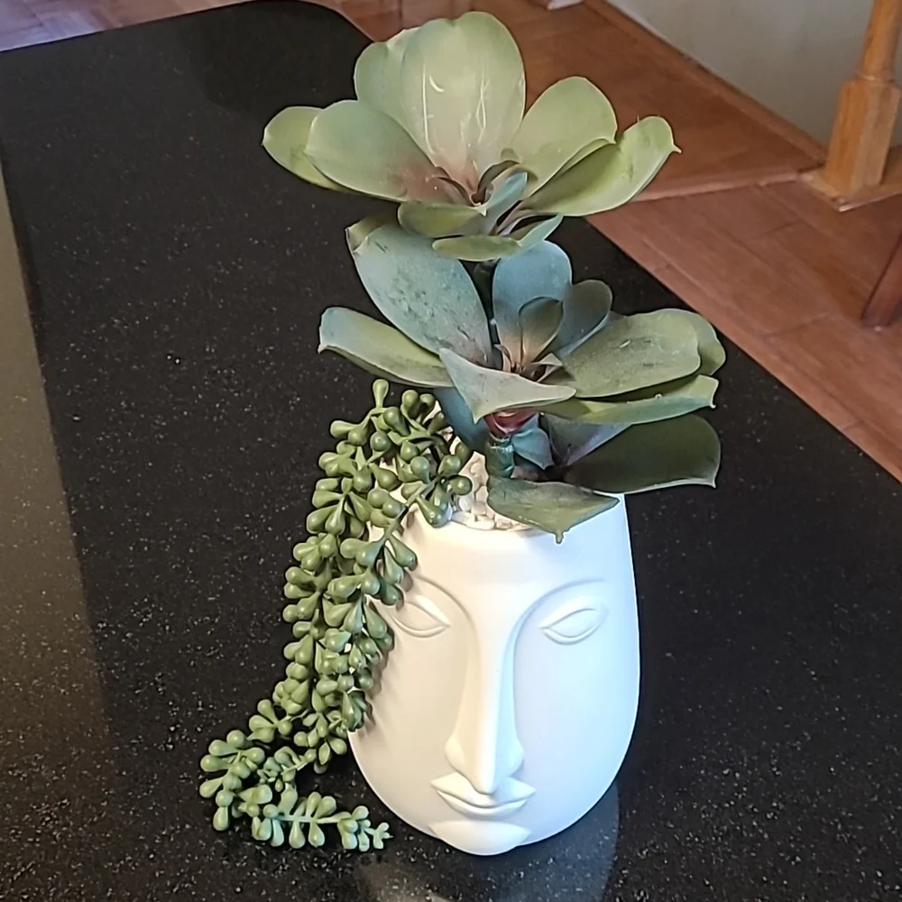 Succulent Face Pot
